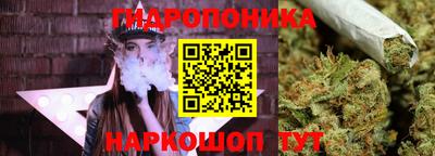 мяу мяу мука Будённовск