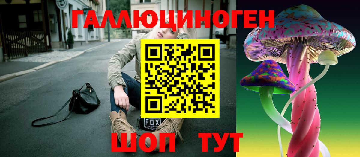 Галлюциногенные грибы GOLDEN TEACHER Туапсе