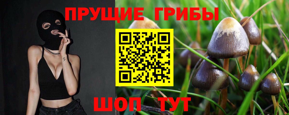 Псилоцибиновые грибы мухоморы  Псилоцибиновые грибы ЛСД  Вход с VPN  Туапсе 